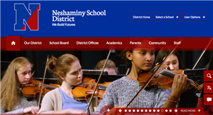 NSD web site image 